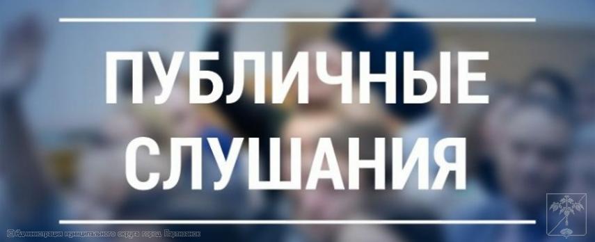 Результаты публичных слушаний по отчету об исполнении бюджета Партизанского городского округа за 2024 год